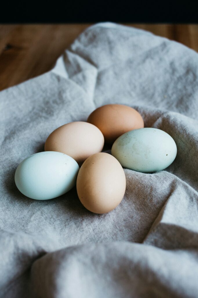 rachael-gorjestani-g8xdO1Q1kIg-unsplash kan hundar äta ägg